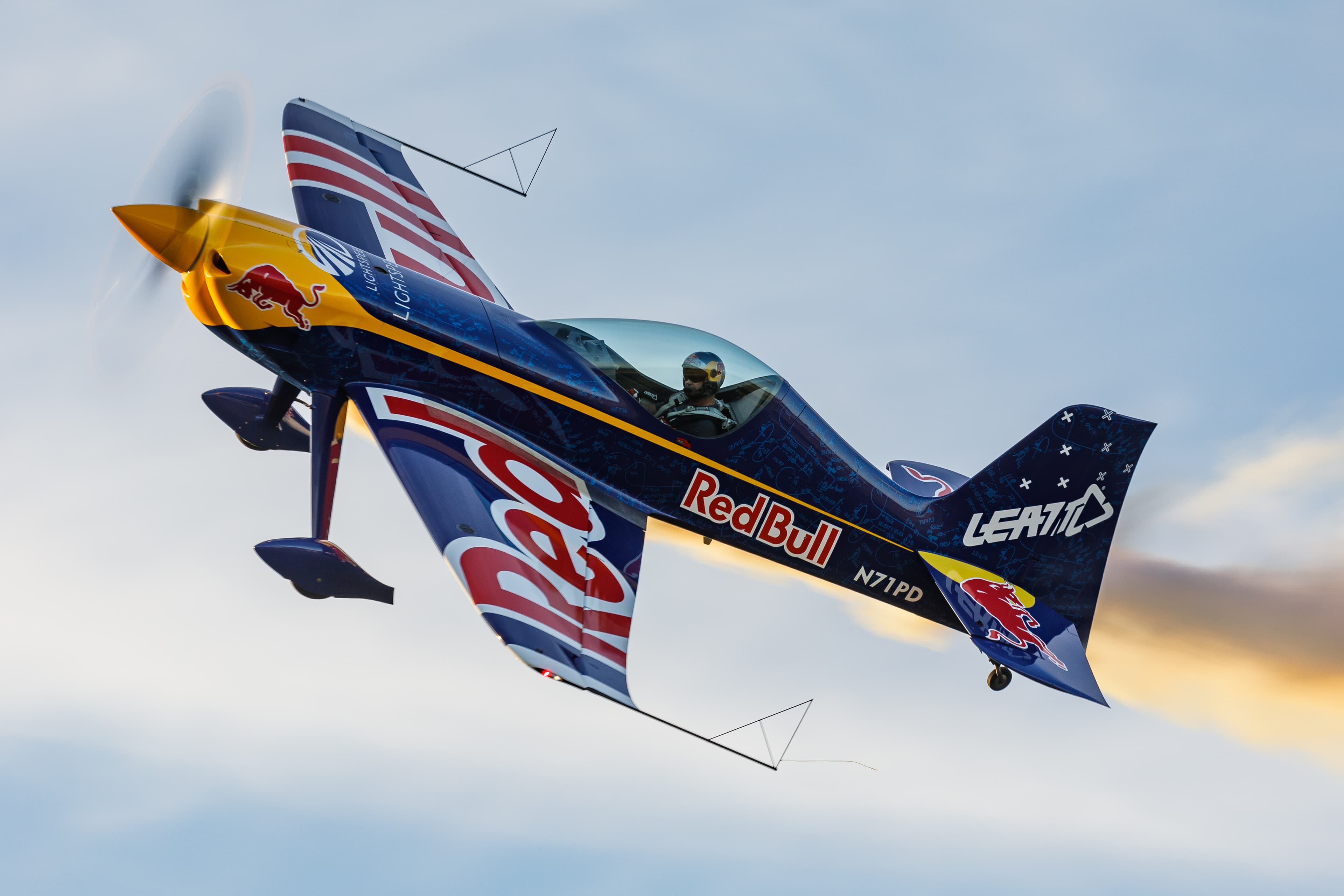 GameBird GB1 gallery image 2