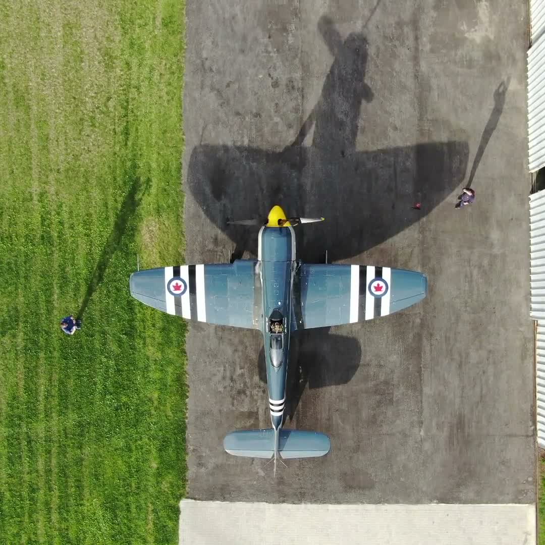 Sea Fury Sights & Sounds video thumbnail